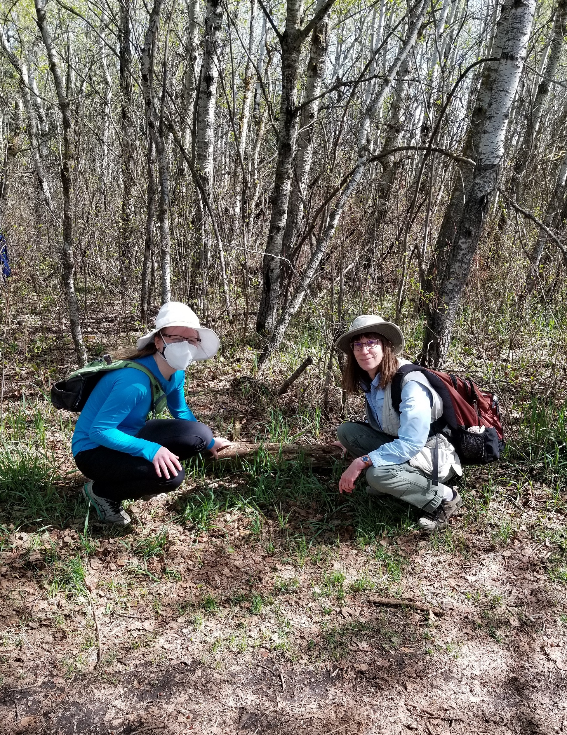 Secret sowbugs: Investigating the diversity, distribution, symbionts, and routes of entry of terrestrial isopods (Isopoda: Oniscidea) in Alberta